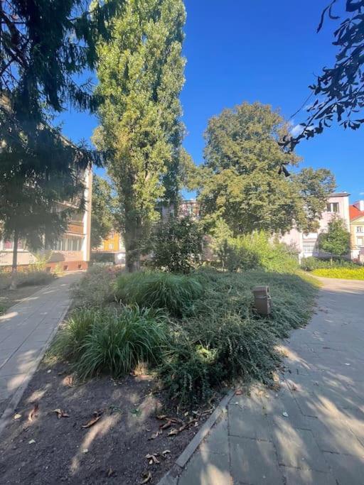 Cozy, Bright, Comfy Studio Next To The Old Town. Apartment Varşovia Exterior foto